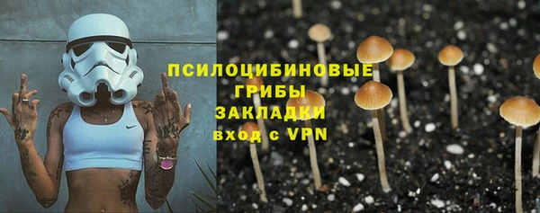 спиды Аркадак